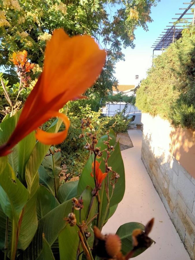 Apartment Ecio فينكوران المظهر الخارجي الصورة